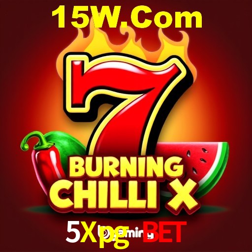 Experiência VIP 5Xpg Bet