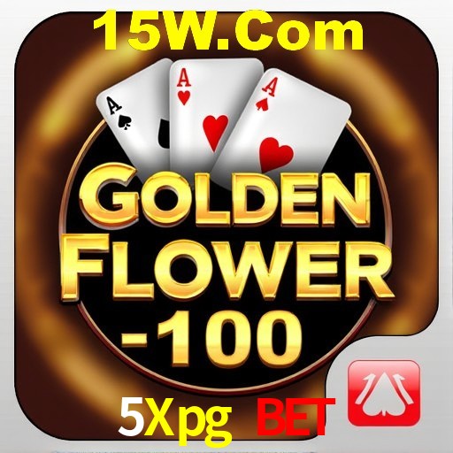 Descubra o Mundo do Cassino Online com 5Xpg Bet